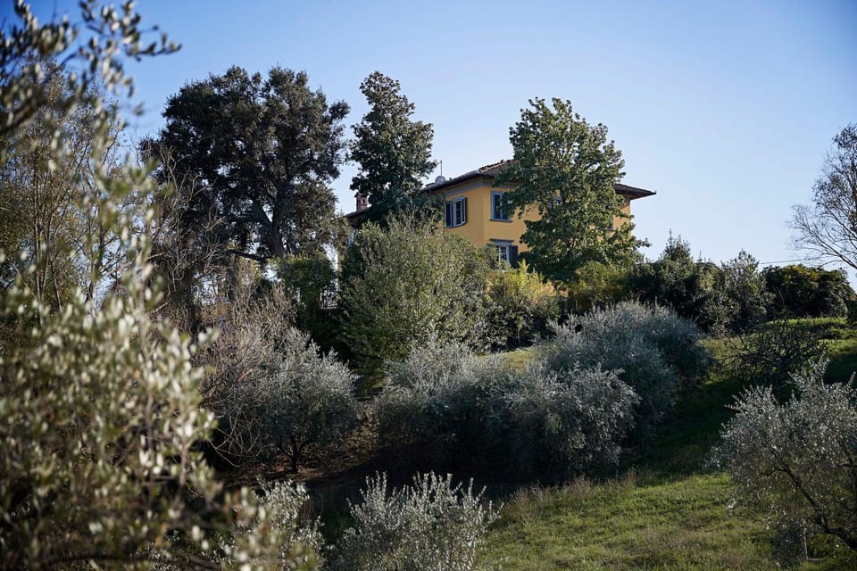 Property building, Natural landscape, Garden, Other