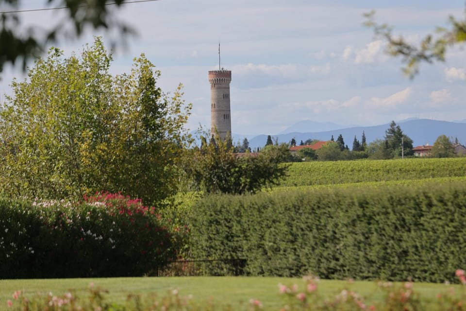Nearby landmark, Spring, Natural landscape, Garden