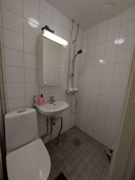 Kotimaailma - Viihtyisä studio lähellä Helsingin keskustaa Apartment in Helsinki
