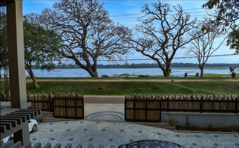 Day, Natural landscape, Garden, View (from property/room), Lake view