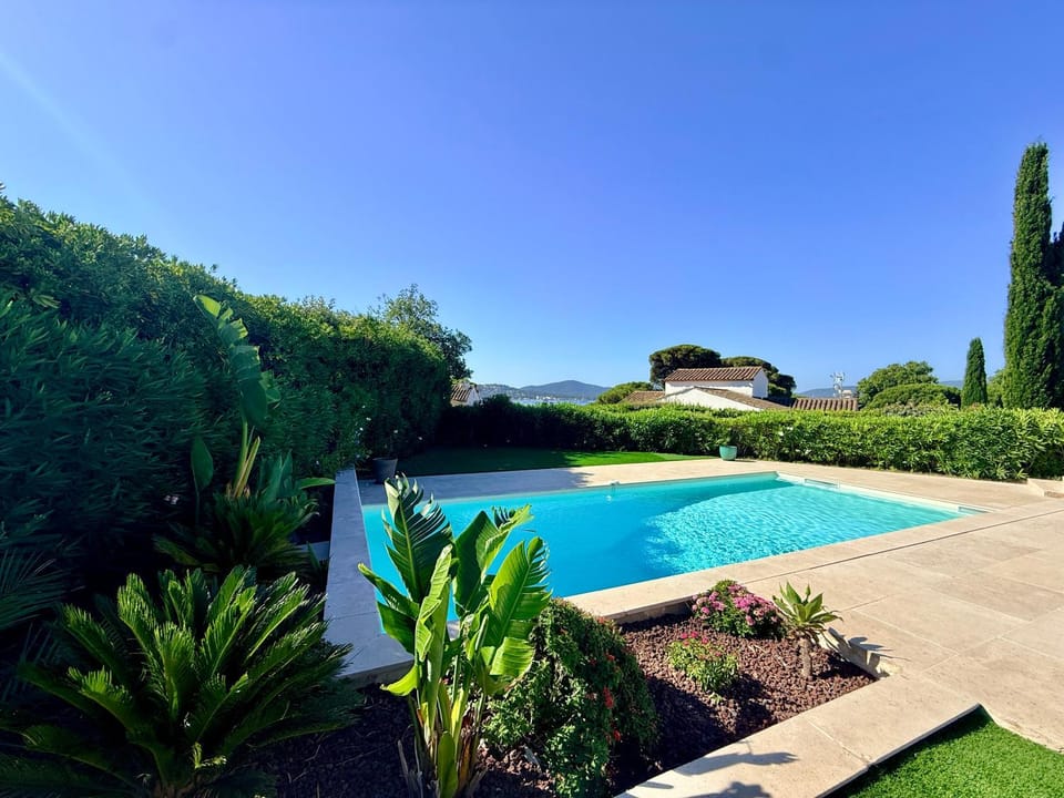 Pool view, Swimming pool
