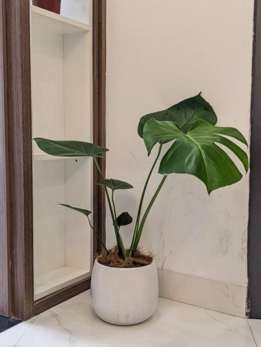 Căn hộ 2 phòng ngủ - đỗ xe máy miễn phí Apartment in Hanoi