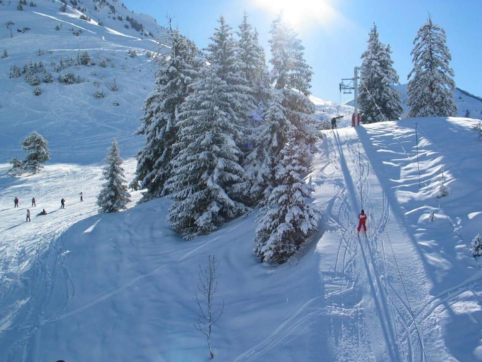 Skiing