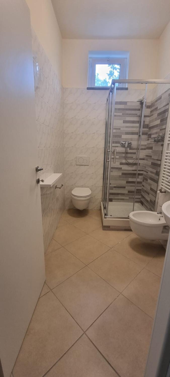 Shower, Toilet, Bathroom, bidet