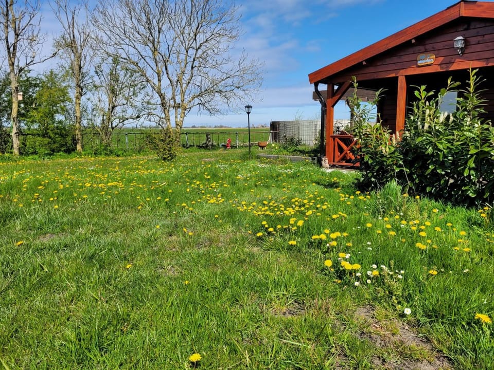 Op e Mieden Chalet in Friesland, Netherlands