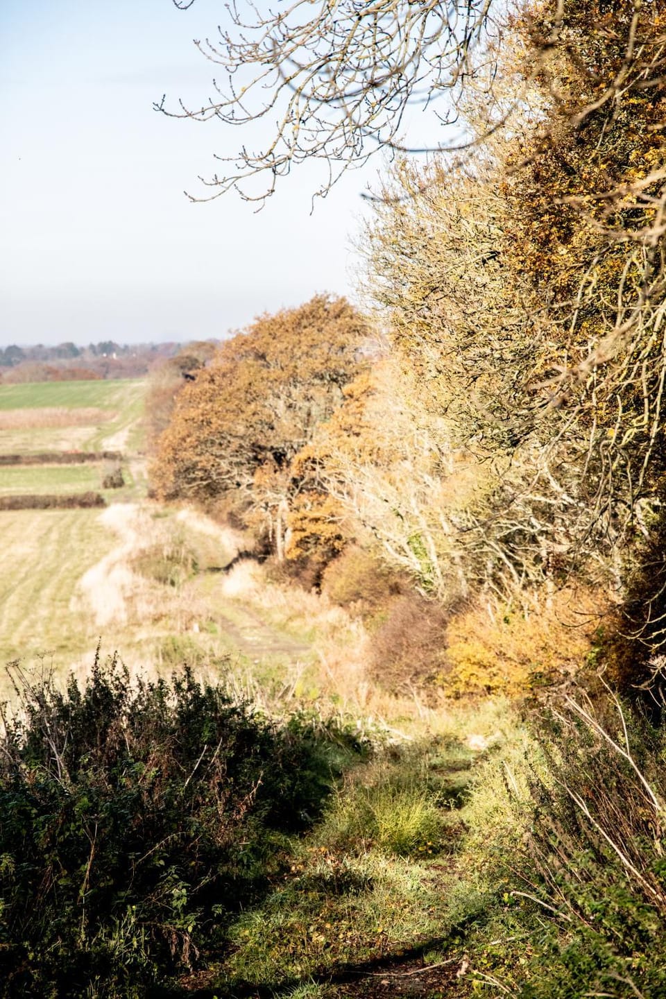 Foot of the Downs Shepherds Hut Campground/ 
RV Resort in Mid Sussex District