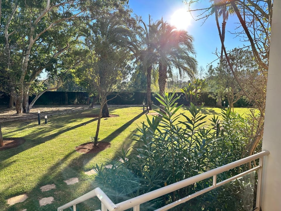 Garden view