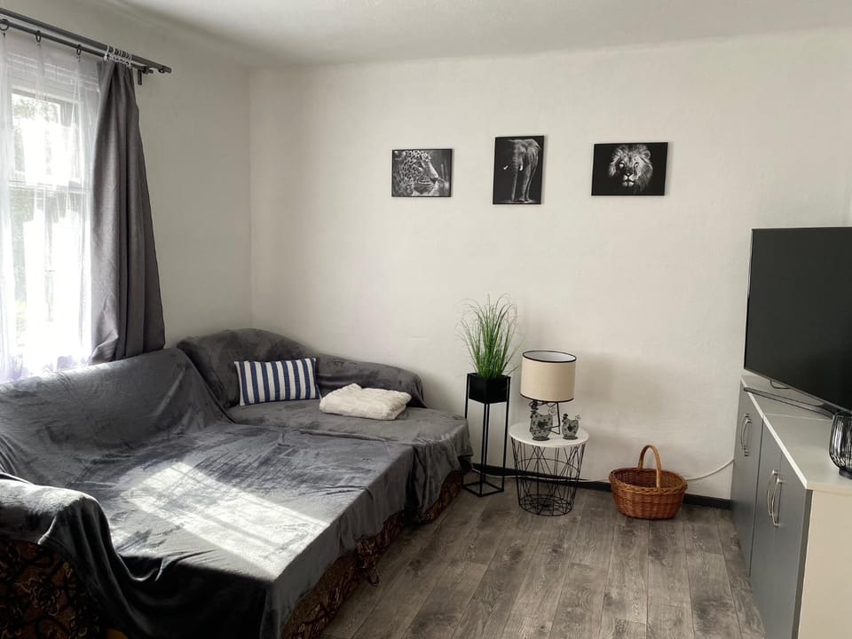Communal lounge/ TV room, Bed, TV and multimedia, Living room, Photo of the whole room, Seating area