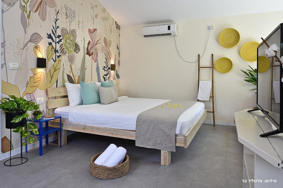 Bed, TV and multimedia, air conditioner