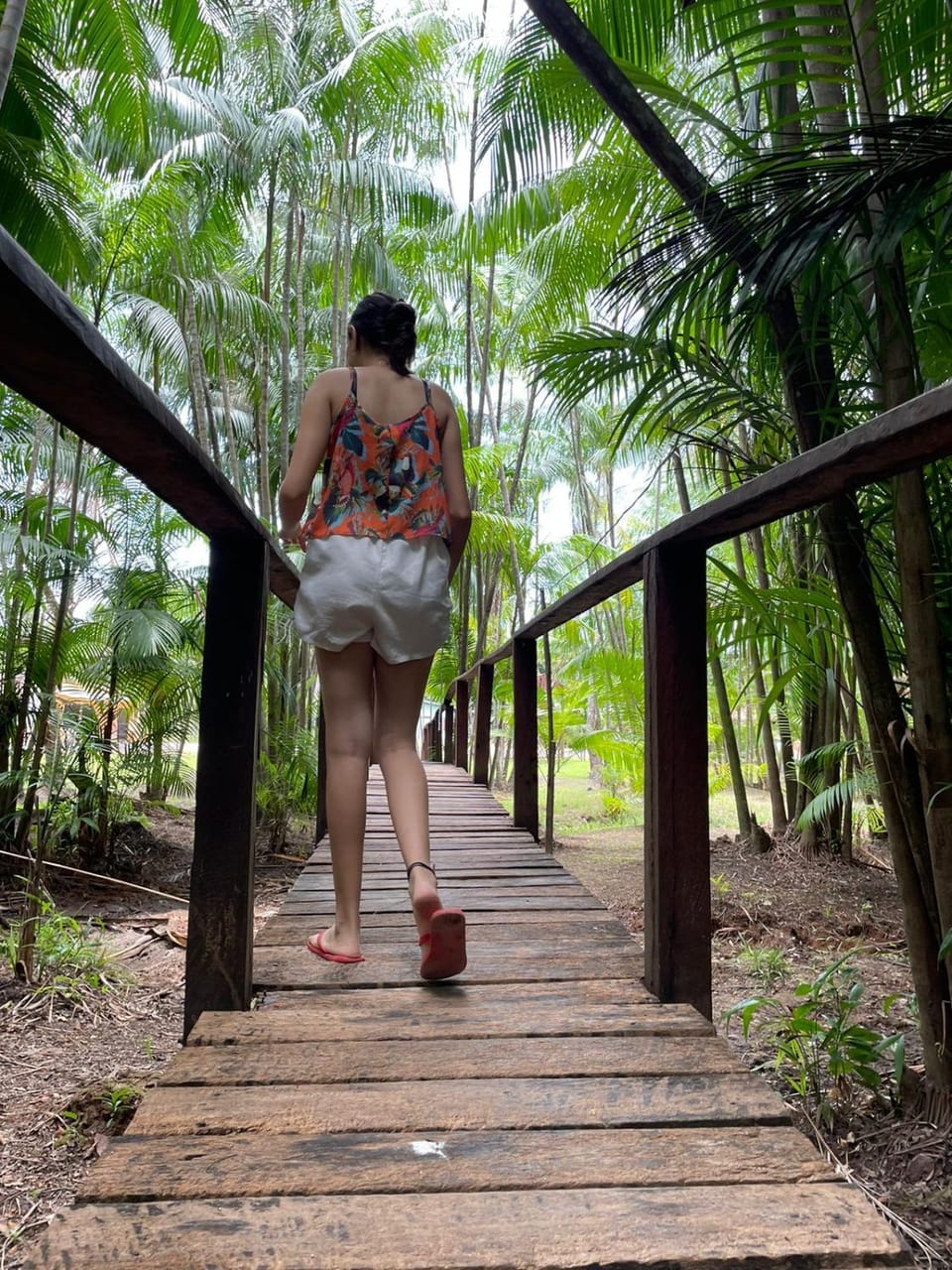Casa da Mata Marajó Nature lodge in State of Pará