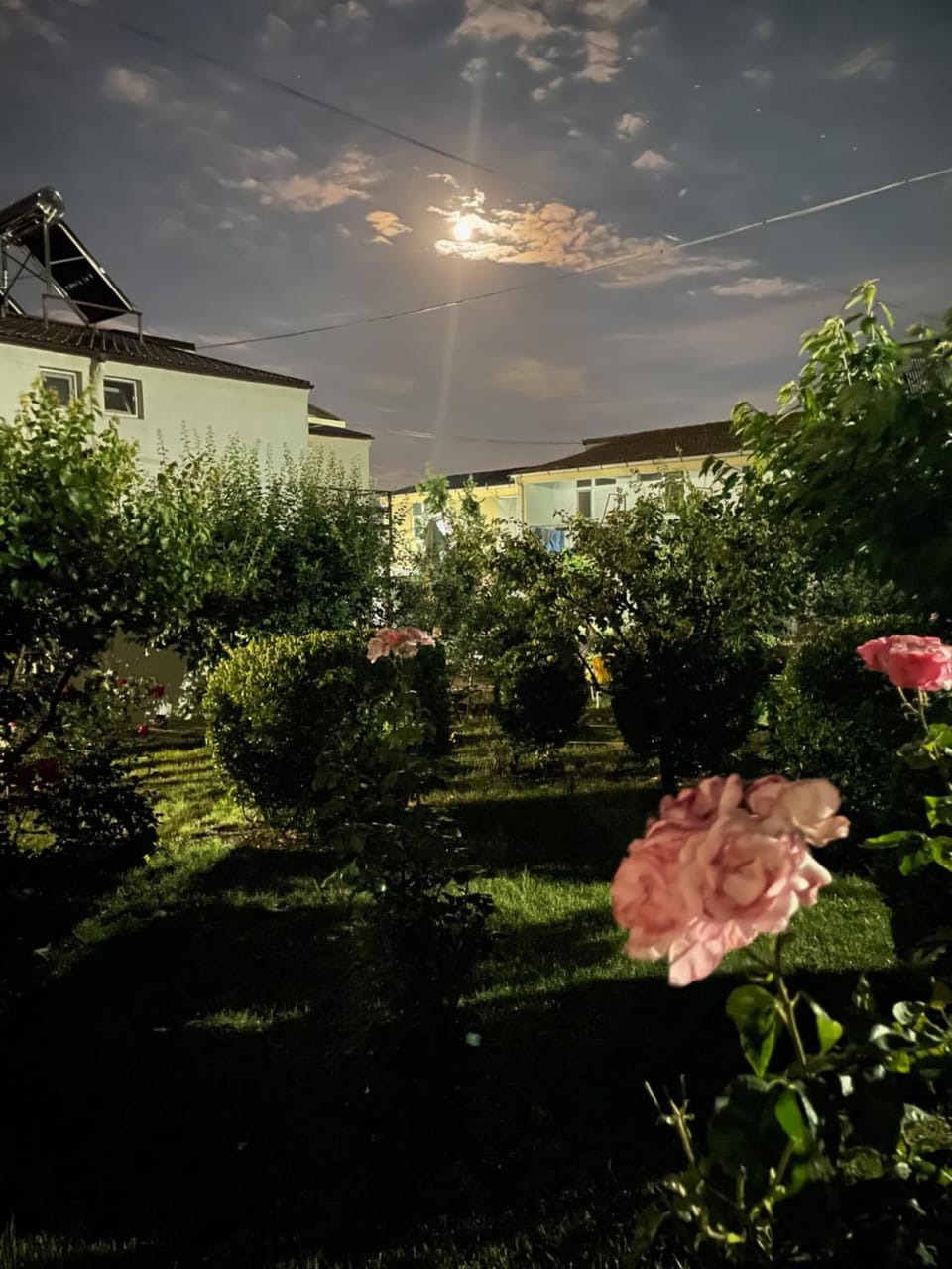 Complex Minerva Bed and Breakfast in Constanța County