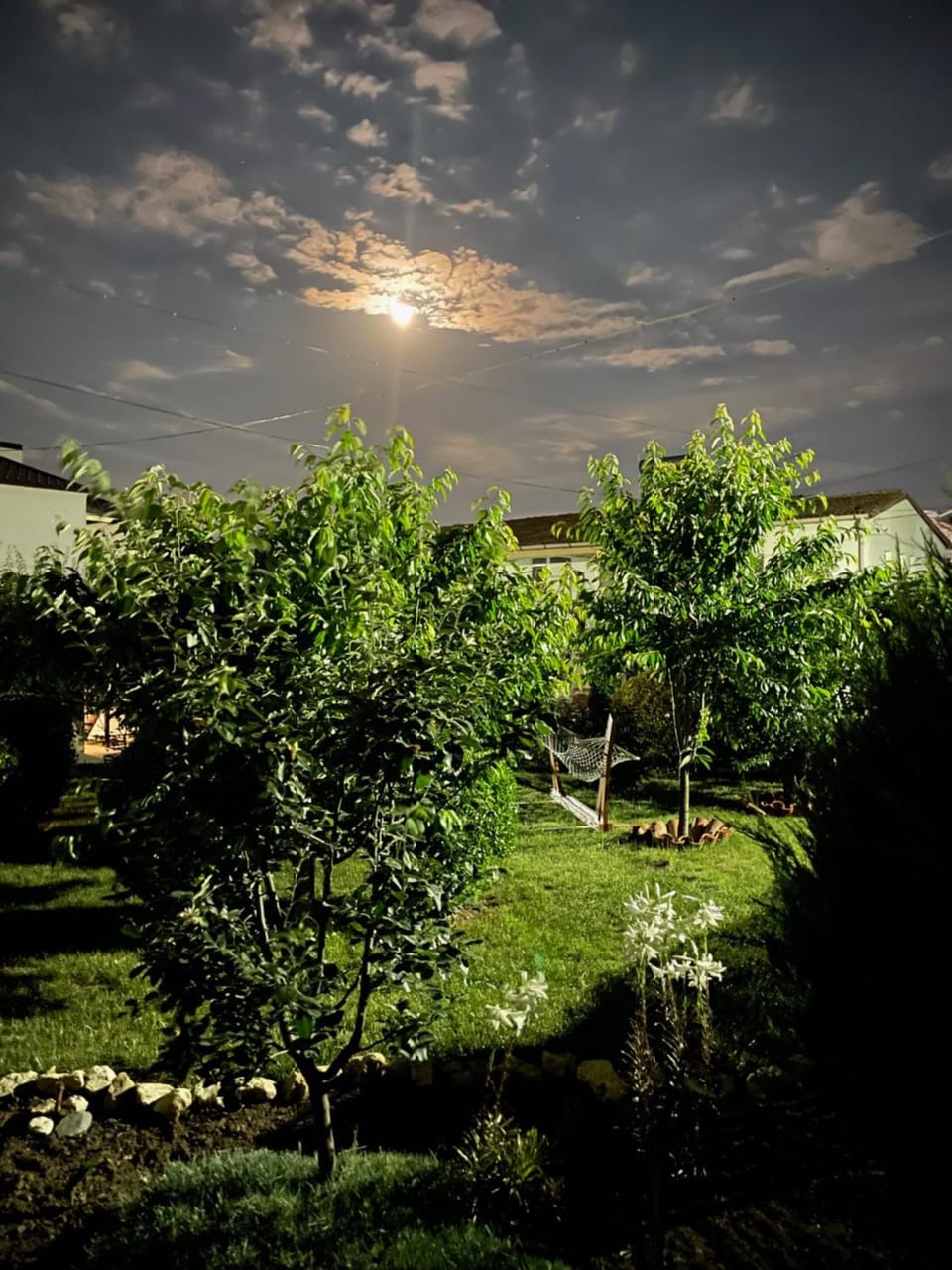 Complex Minerva Bed and Breakfast in Constanța County