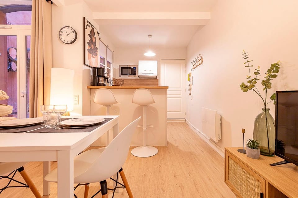 Quiet downtown location - Apartment with a terrace Apartment in Toulouse