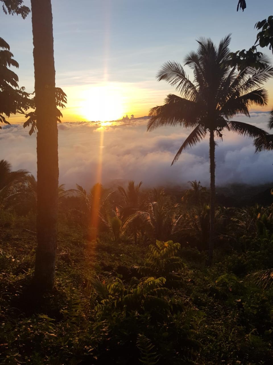 Natural landscape, Sunrise