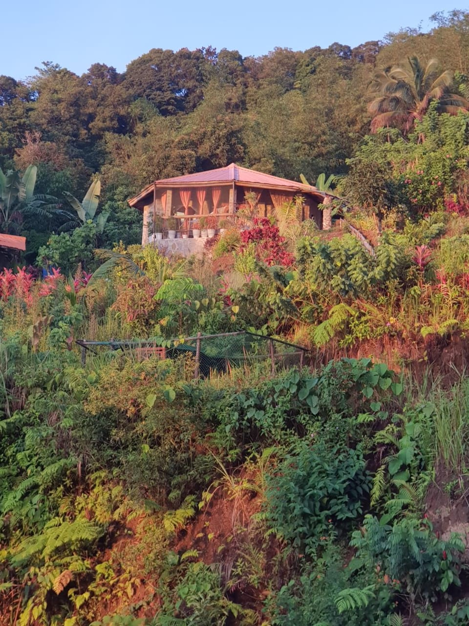 Property building, Natural landscape, Garden, Garden view