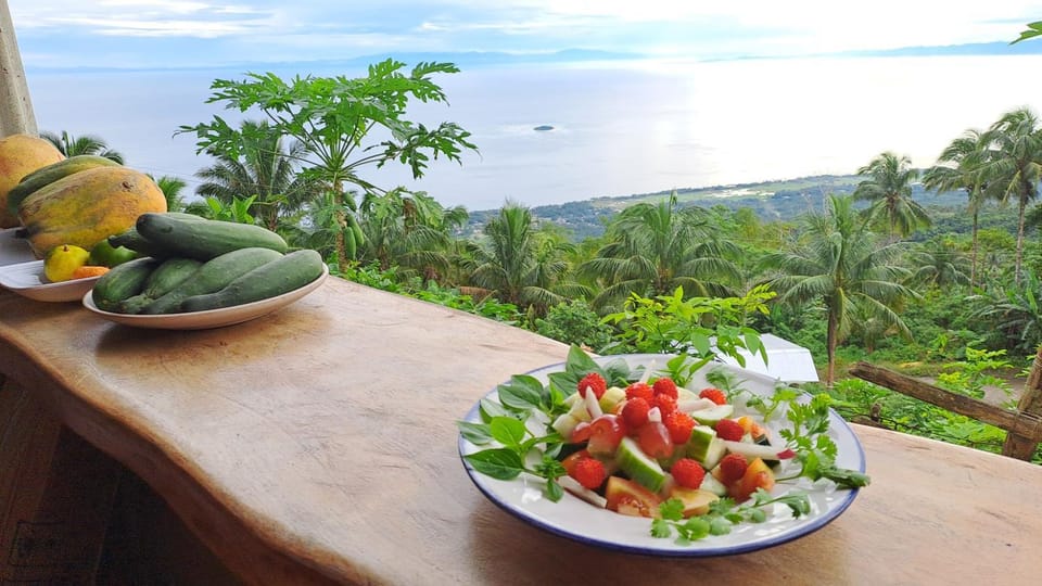 Natural landscape, Food and drinks, Food, Sea view