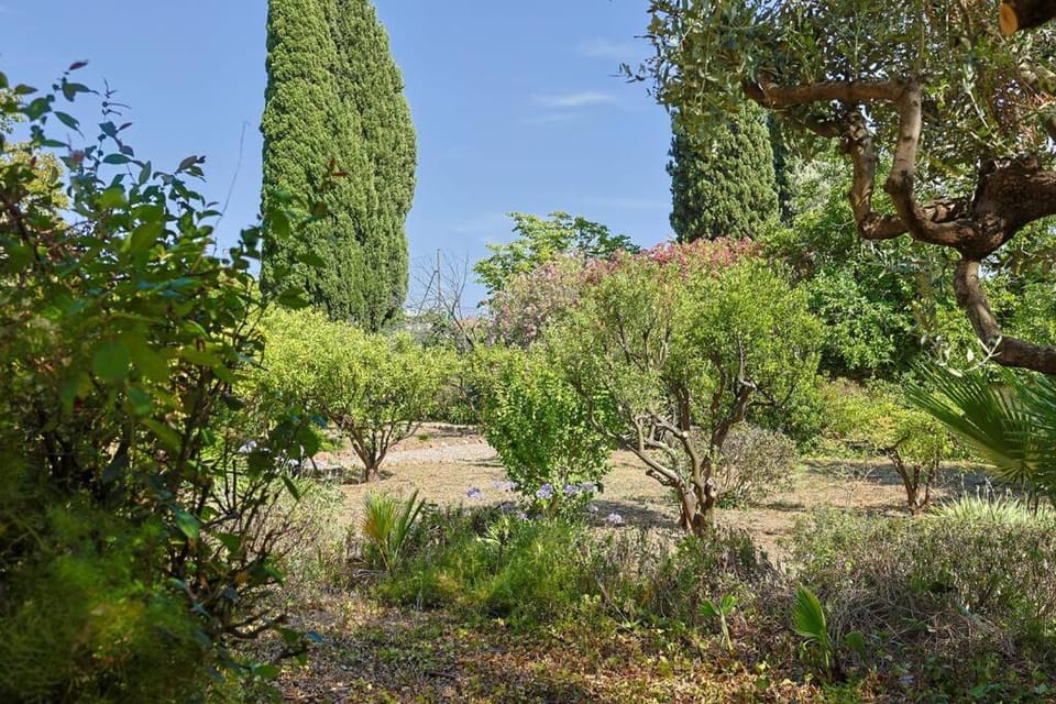 Maison de Maître Centre Ville Villa in Hyères