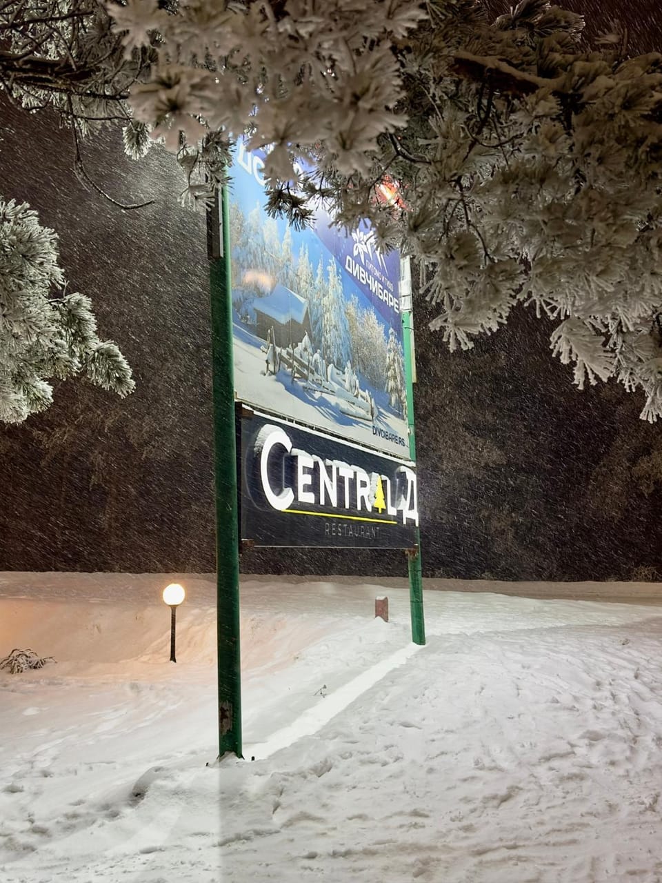 Central green Apartment in Zlatibor District, Serbia