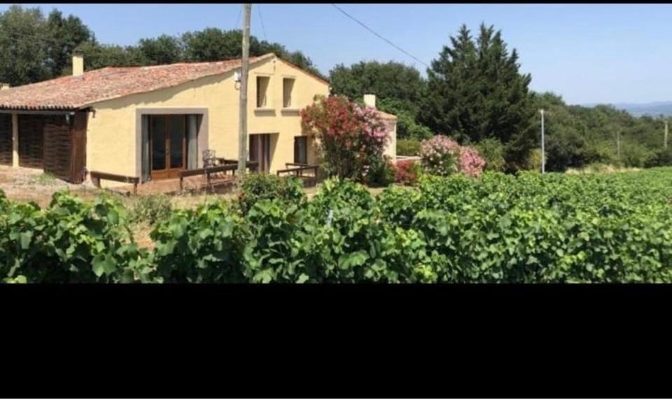La Maison Tourouzelle Villa in Occitanie