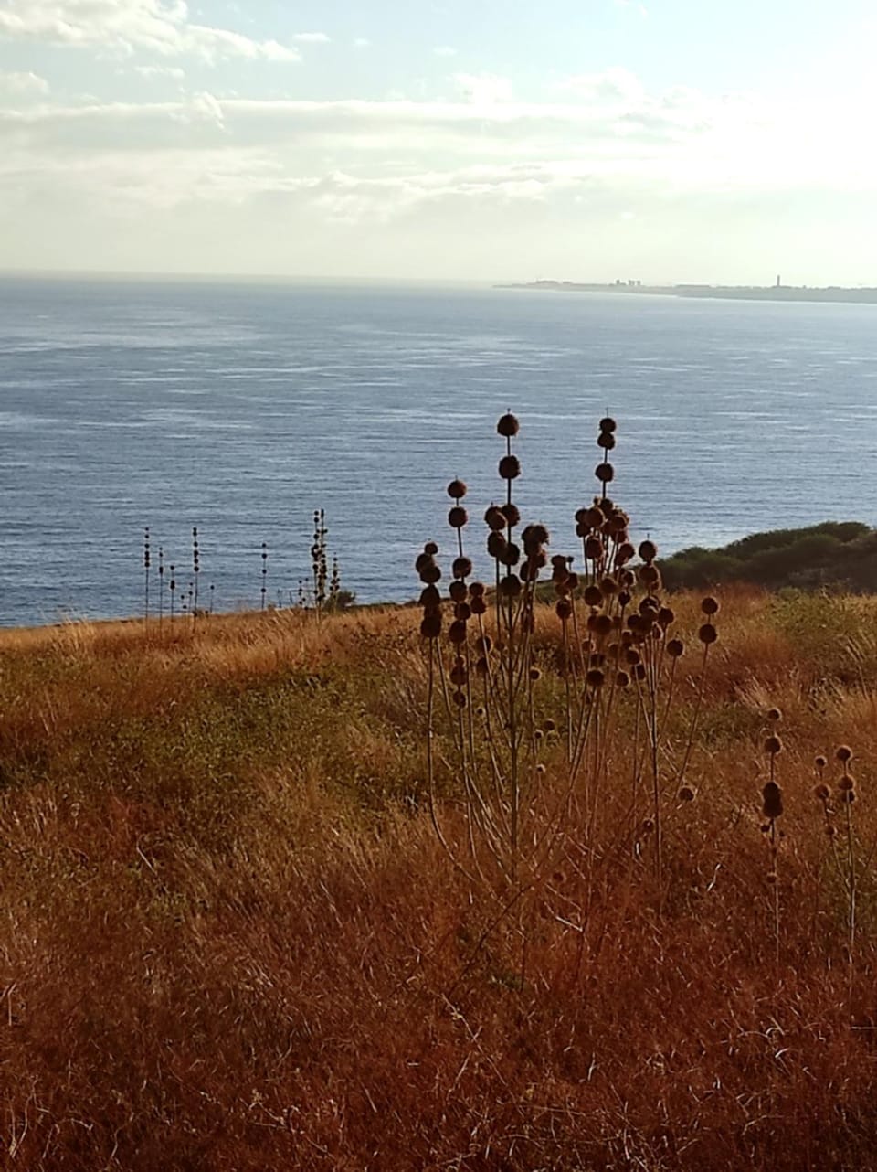 Natural landscape