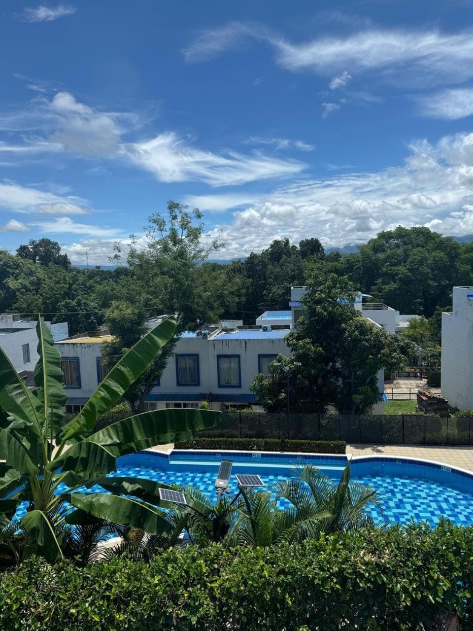 Day, Natural landscape, Garden, Garden view, Pool view, Swimming pool