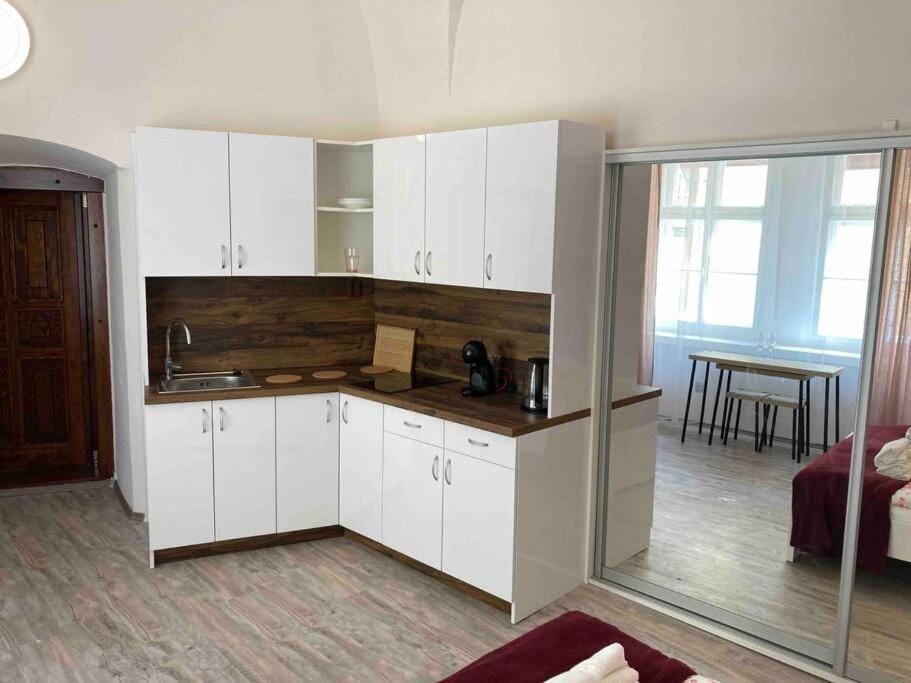 Studio in gothic house, 50m to the Old Town Square Apartment in Prague