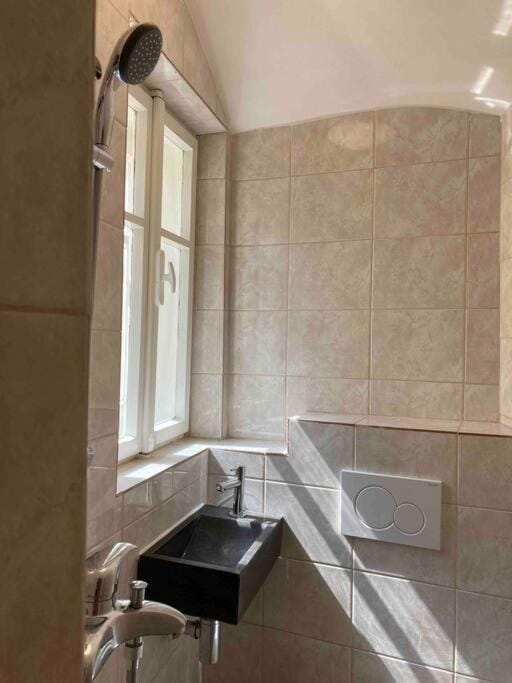 Studio in gothic house, 50m to the Old Town Square Apartment in Prague