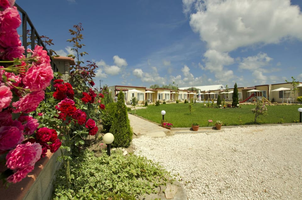 Spring, Garden