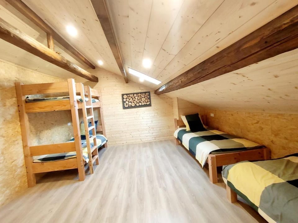 Bed, Photo of the whole room, Bedroom, bunk bed