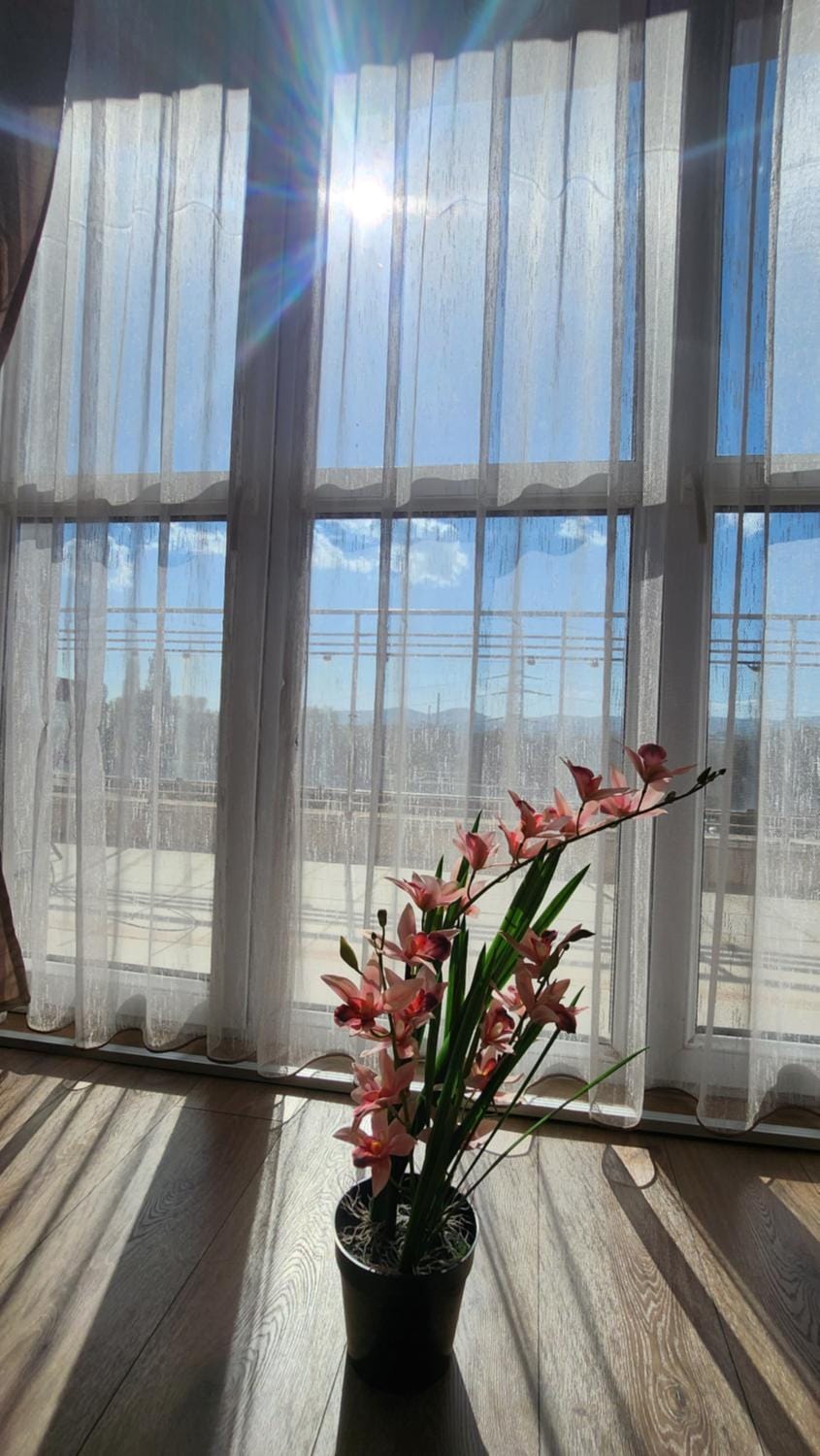 Budget overnight- Struma highway Apartment in Sofia City Province