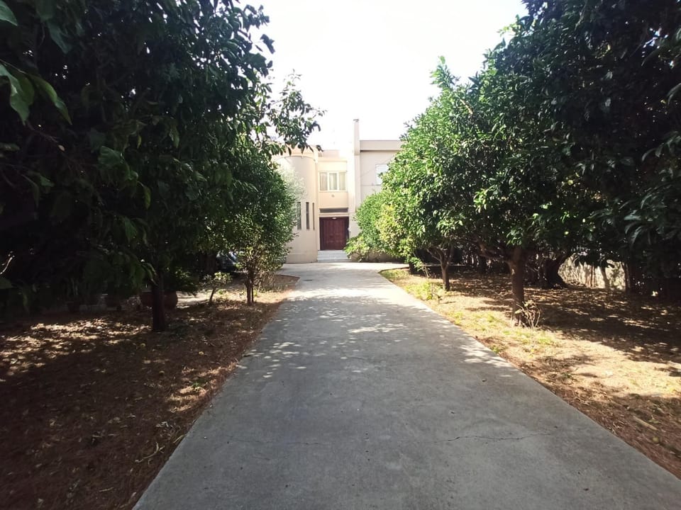 Day, Garden, Garden view