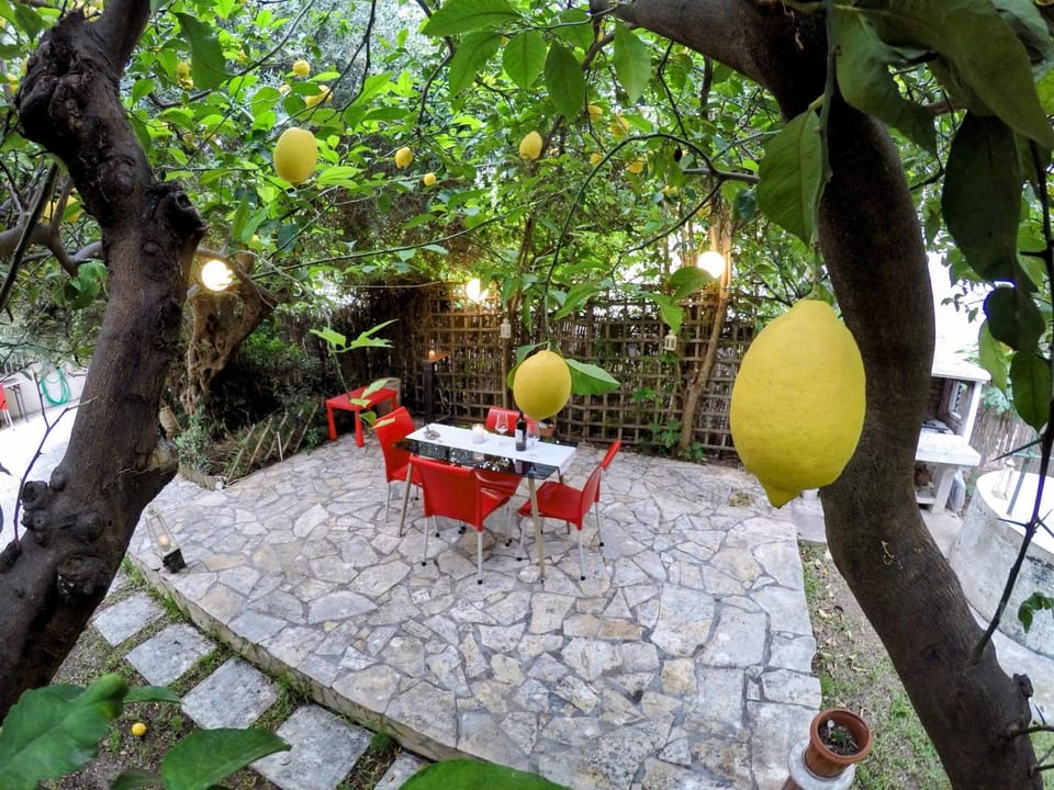 Patio, Day, Garden, Dining area, Garden view