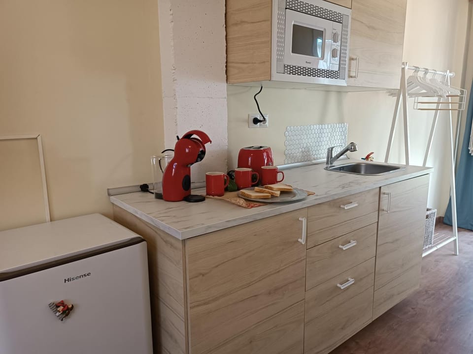 Coffee/tea facilities, Kitchen or kitchenette, minibar, toaster