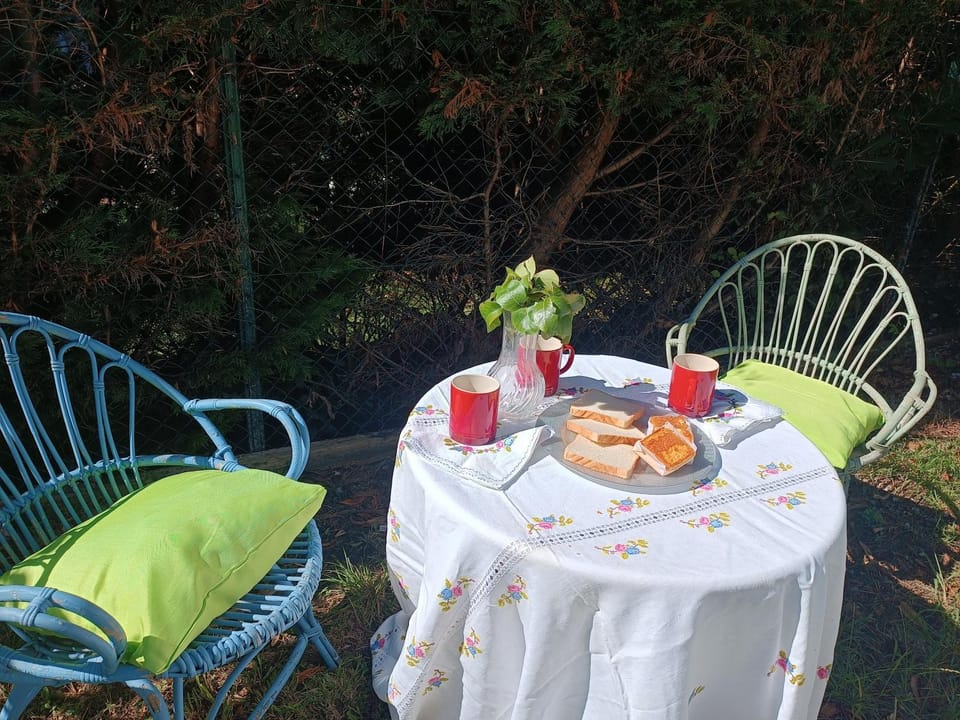 Garden, Garden, Garden view