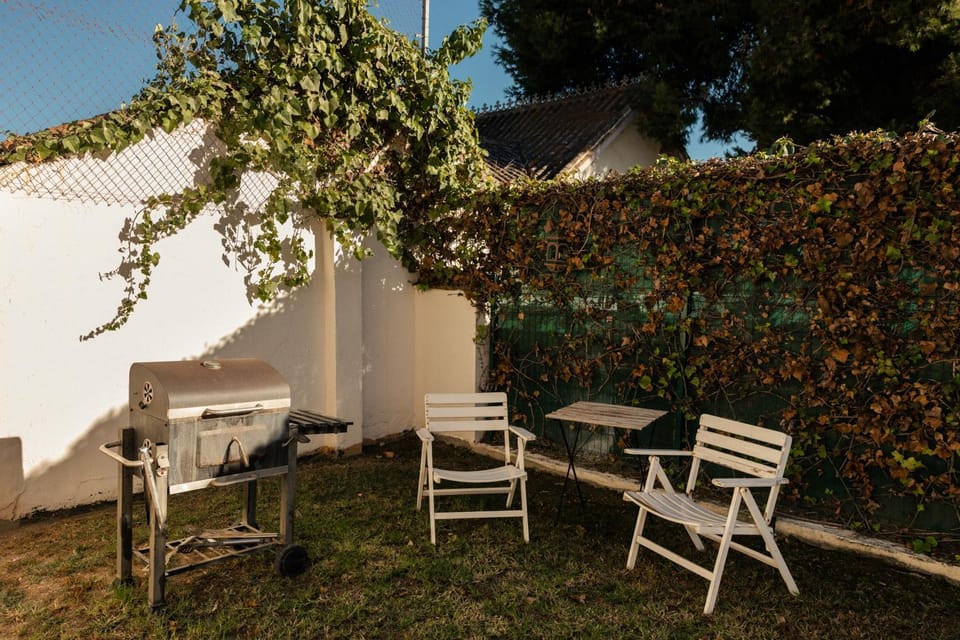 Garden, Balcony/Terrace