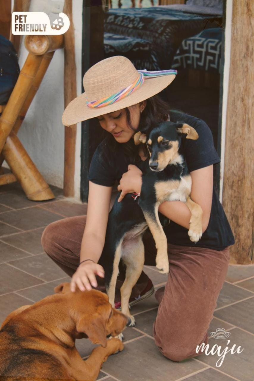 Animals