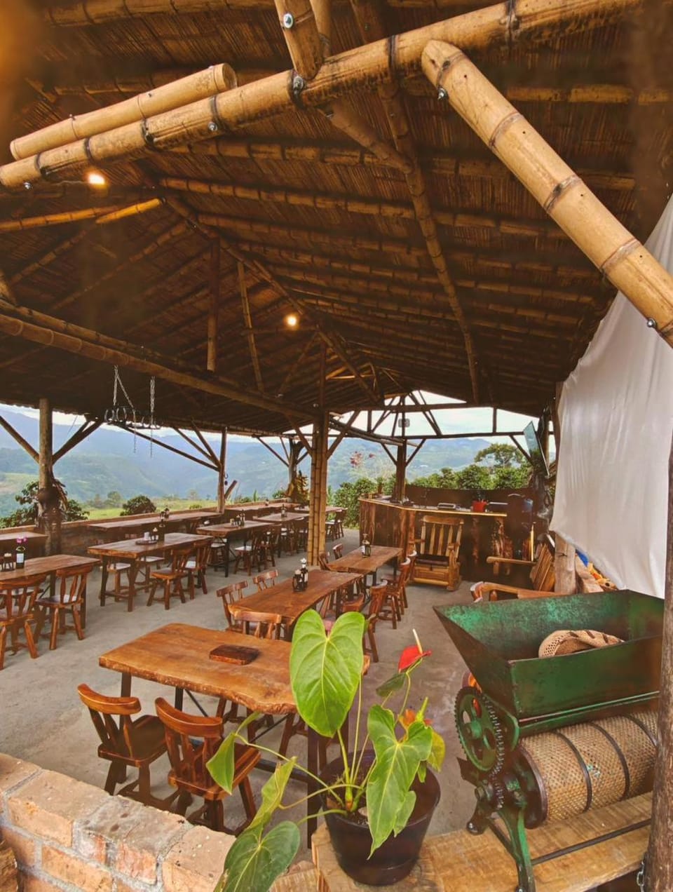 Restaurant/places to eat