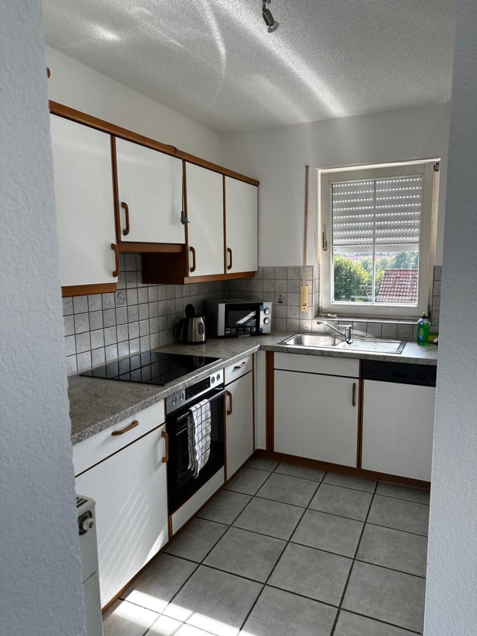 Kitchen or kitchenette, dishwasher, minibar, pet friendly, stove