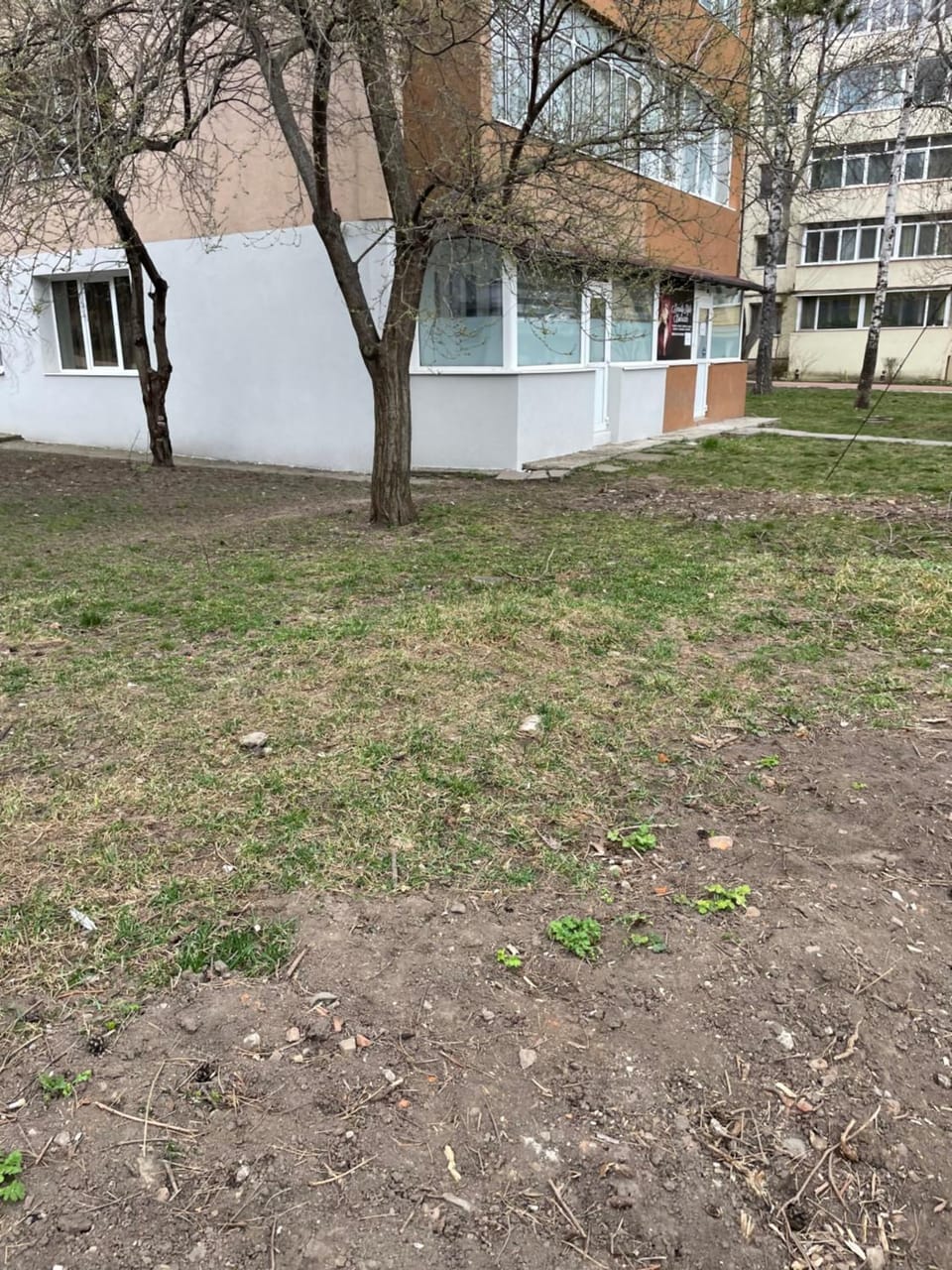 Property building, Natural landscape, Garden view