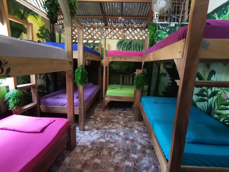 Bedroom, bunk bed