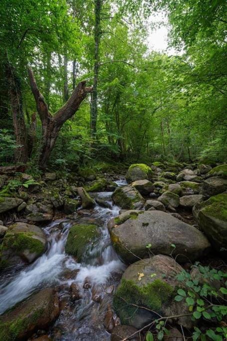 Casa Rústica en la Finca Ecológica San Félix Chalet in Cantabria