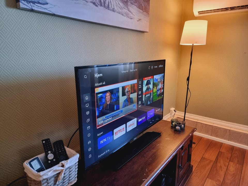 TV and multimedia