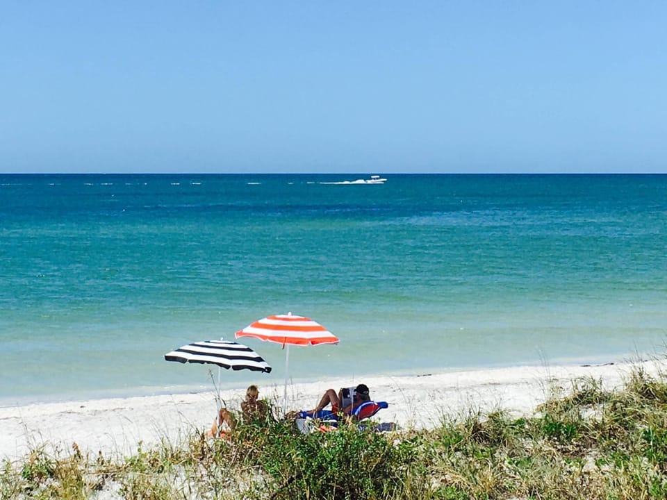 Beach, group of guests, sunbed