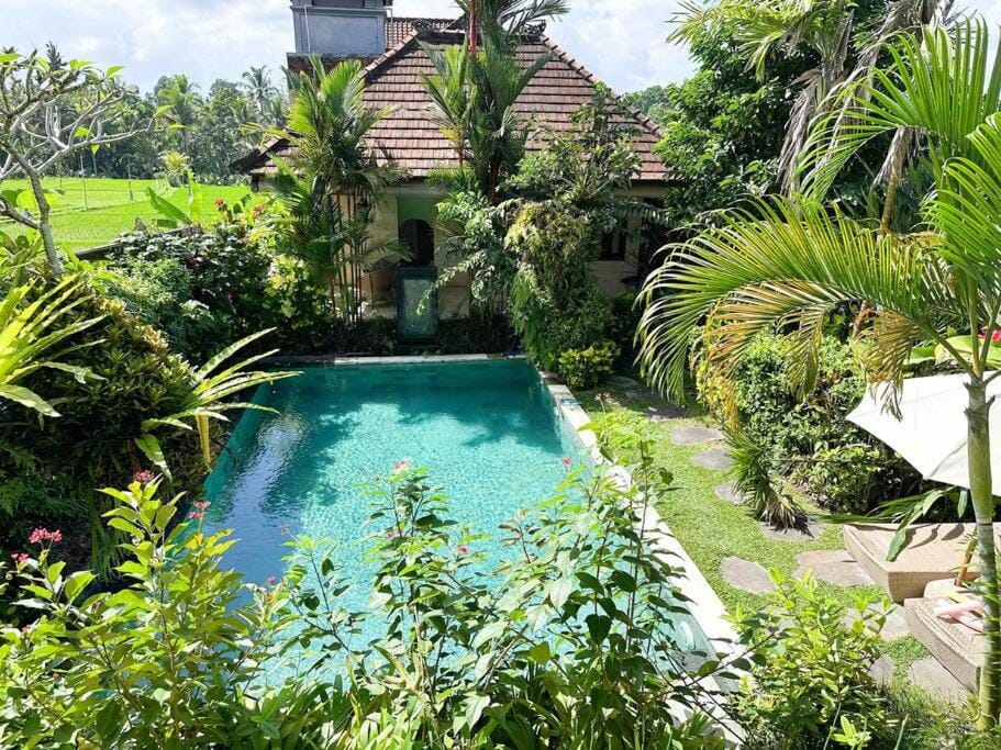 Pool view, Swimming pool