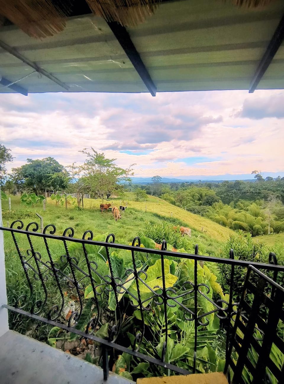View (from property/room), Balcony/Terrace, Garden view, Mountain view