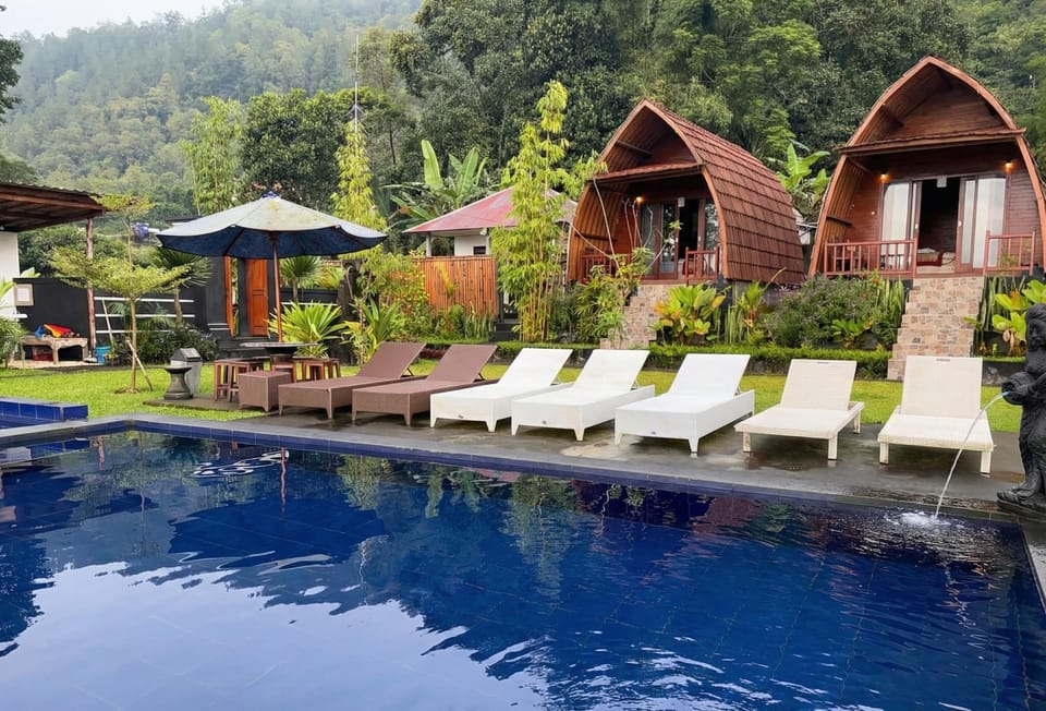 Property building, Garden, Garden view, Pool view, Swimming pool, sunbed
