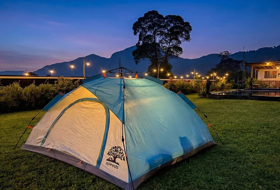 Night, Natural landscape, Garden, Garden view, Mountain view