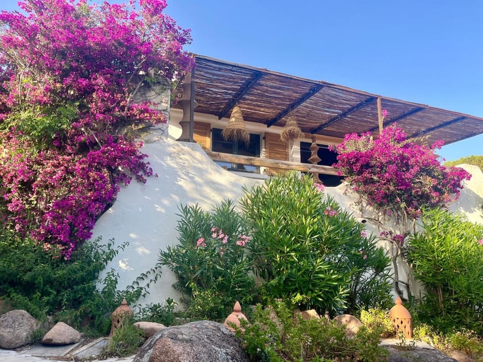 Property building, Garden view