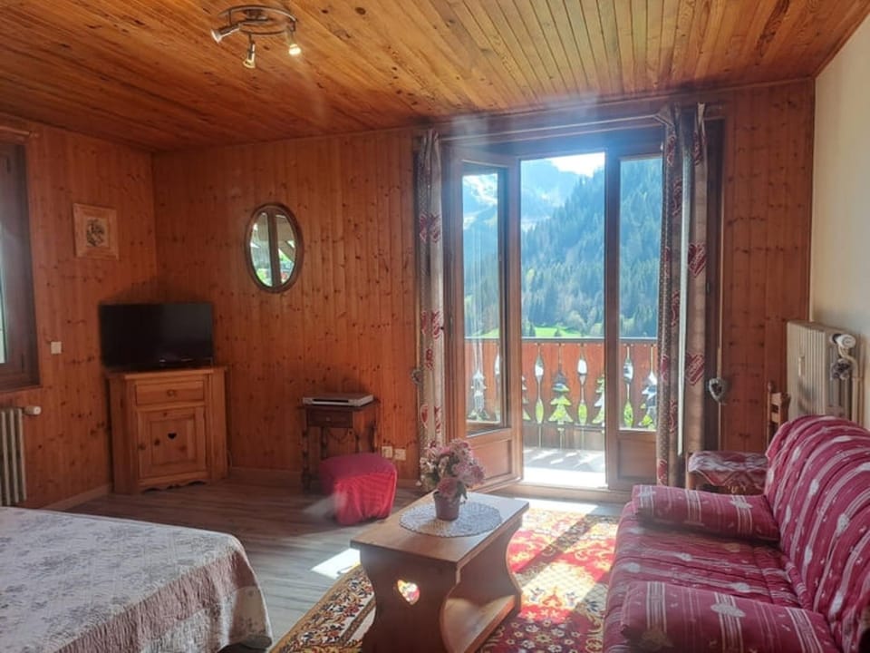 Chalet 2 Pièces, 6 Pers., Proche Centre et Pistes, Balcon Sud/Est, Parking, Animal Admis - FR-1-676-9 Apartment in Châtel