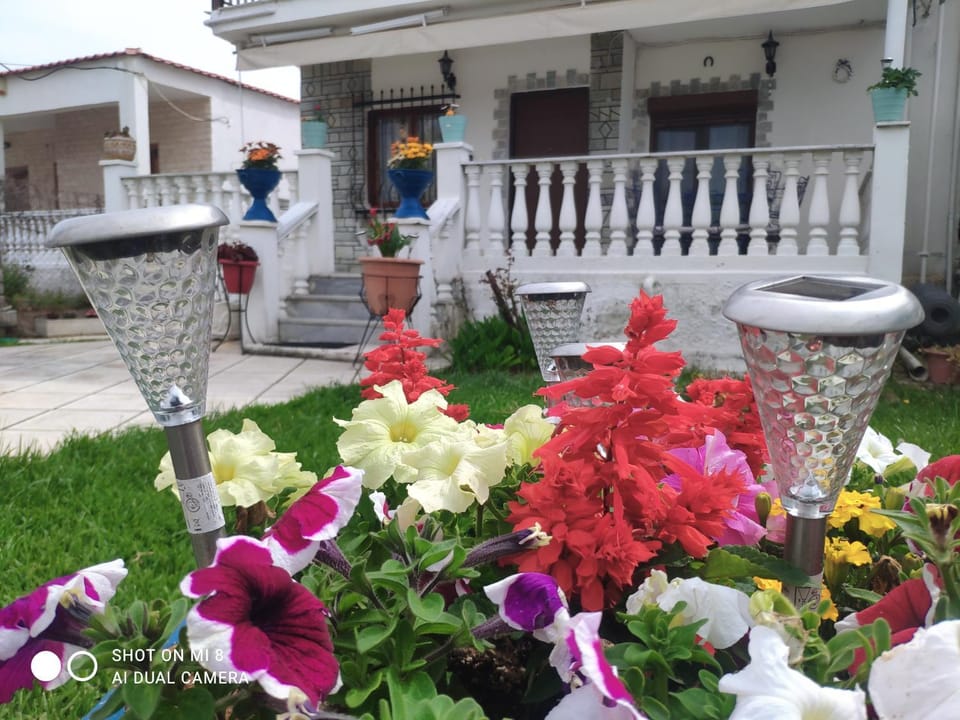 Garden, Garden view